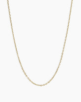 14K Gold Delicate Link Chain