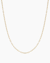 14K Gold Parker Delicate Link Necklace