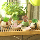 Cute Animal Drinking Ceramic Plant pot