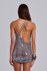 Silver Vixen Mini Dress