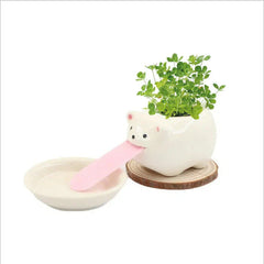 Cute Animal Drinking Ceramic Plant pot