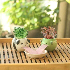 Cute Animal Drinking Ceramic Plant pot